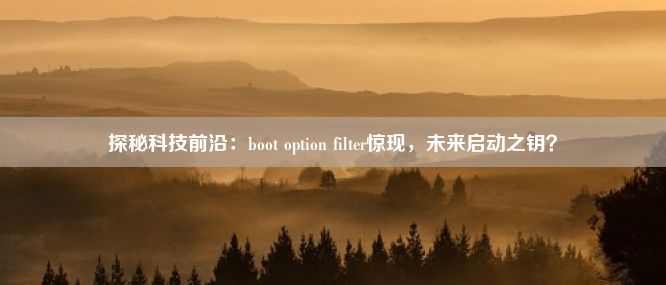 探秘科技前沿：boot option filter惊现，未来启动之钥？