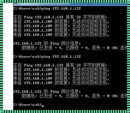 探秘网络诊断中的“谜团”：ping失败之原因解析