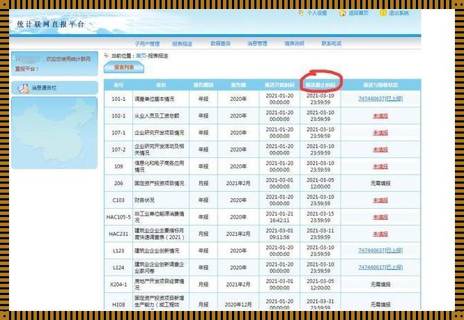 揭秘：统计局联网直报报表日期背后的科技前沿之谜