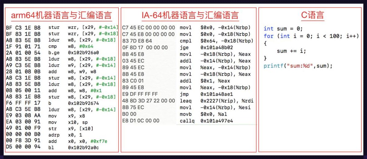 探秘科技前沿：机器语言与汇编语言的同宗同源