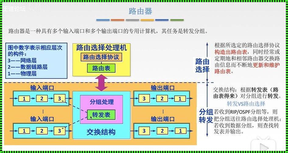 计算机网络交换：揭开神秘面纱