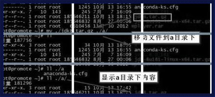 如何在Linux下将文件夹压缩成ZIP包？