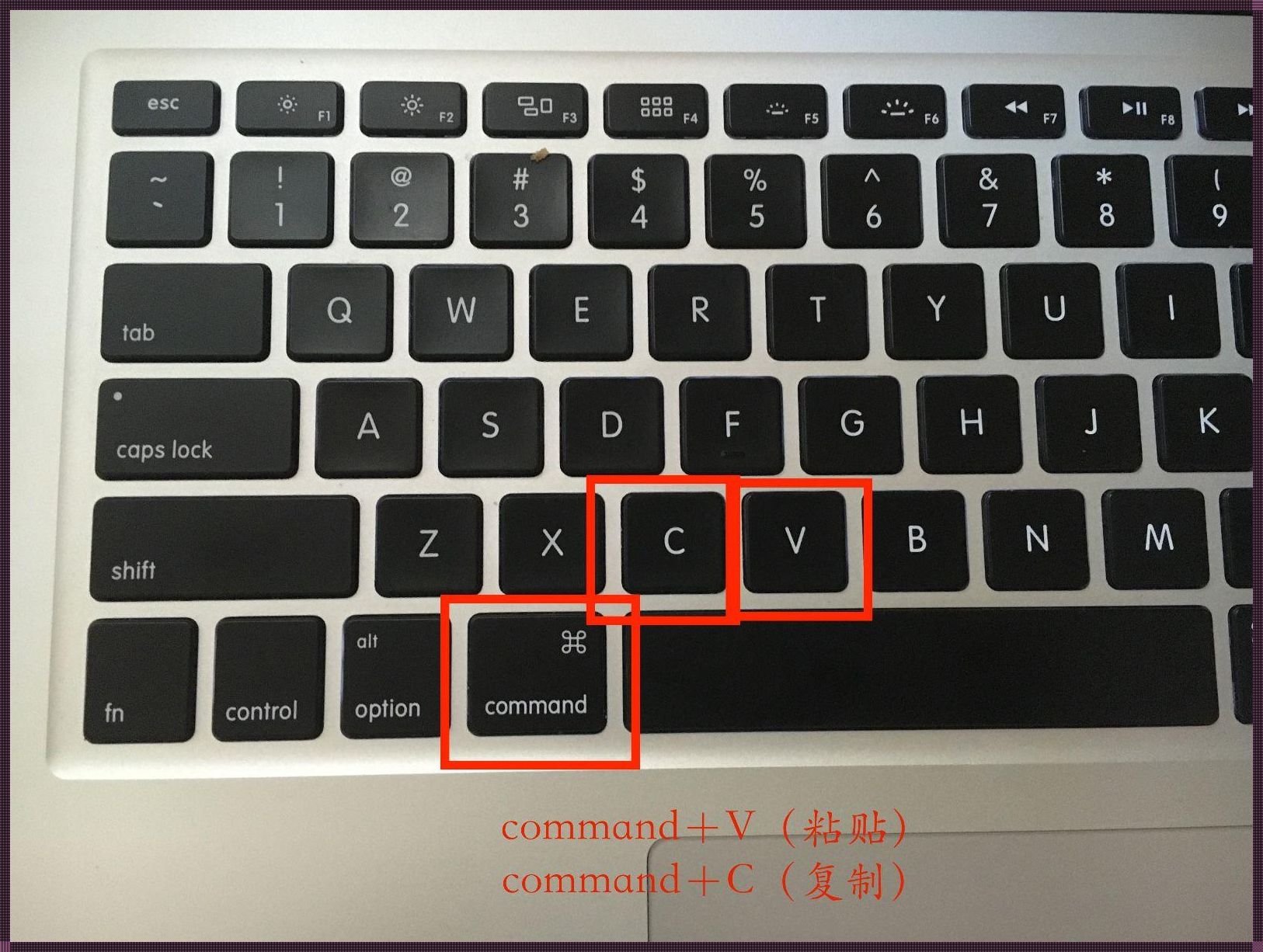 苹果电脑粘贴复制快捷键是什么？揭秘背后的科技资讯