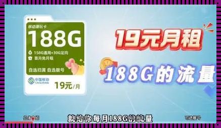 248MB流量价值几何？——探秘最新科技技术中的惊现奇迹