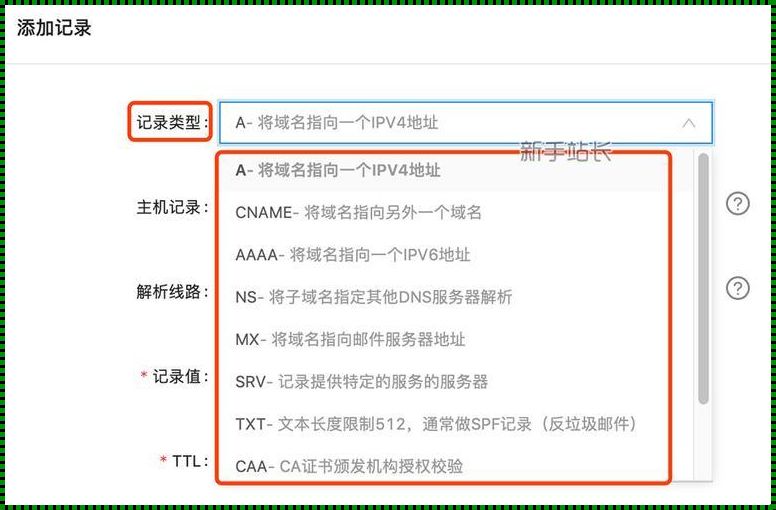 DNS记录类型大揭秘：探索互联网的秘密角落