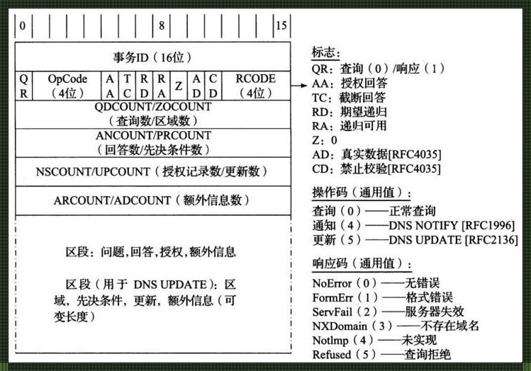 DNS记录类型大揭秘：探索互联网的秘密角落