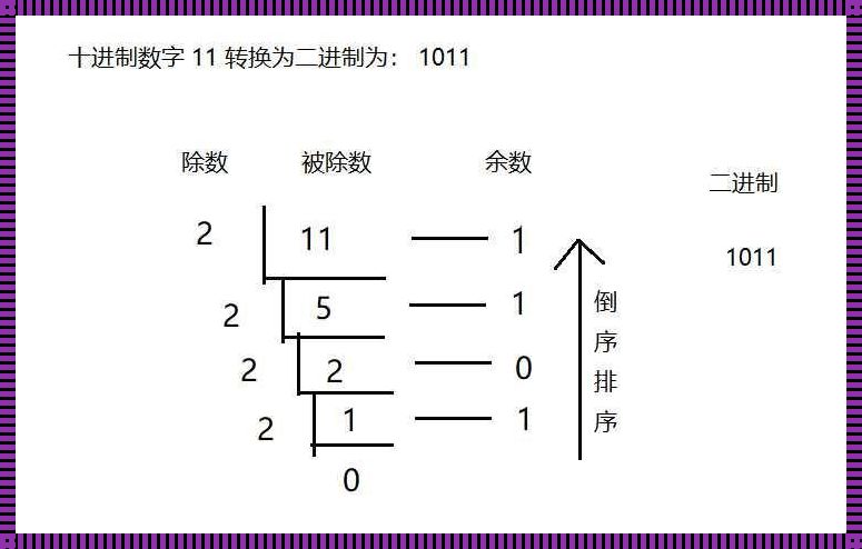 揭秘二进制与十进制的转换之谜：数字世界的奇幻之旅