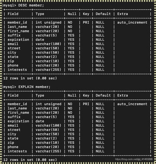 探索未知：MySQL创建数据库的奥秘及前沿科技技术