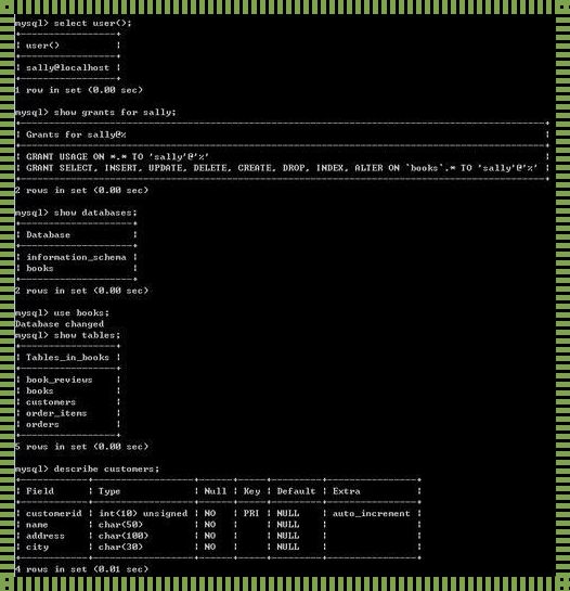 探索未知：MySQL创建数据库的奥秘及前沿科技技术