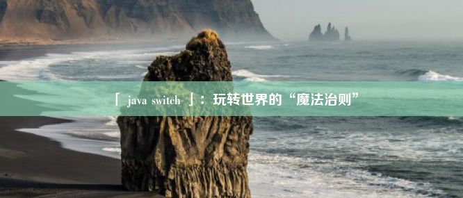 「 java switch 」：玩转世界的“魔法治则”