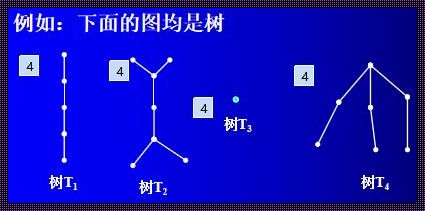 森林啊，你这片图论的绿洲，逗趣又让人无奈的存在