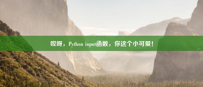 哎呀，Python input函数，你这个小可爱！