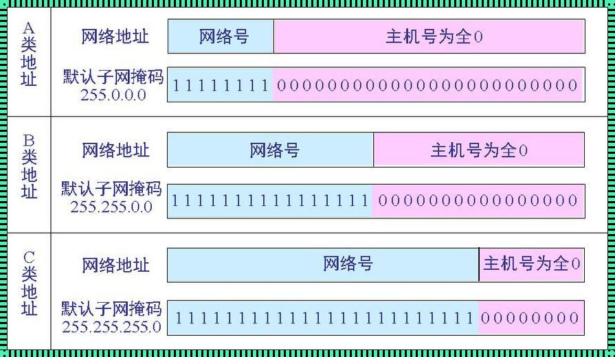 揭秘子网掩码：谁把大象藏进了冰箱？