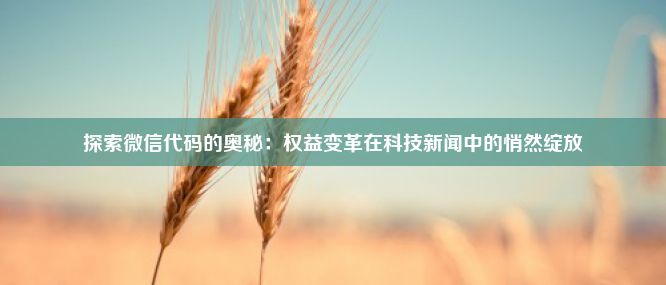 探索微信代码的奥秘：权益变革在科技新闻中的悄然绽放