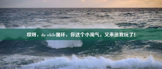 哎呀，do while循环，你这个小淘气，又来逗我玩了！