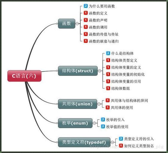 探索科技前沿：比较struct类型相等的艺术与技术