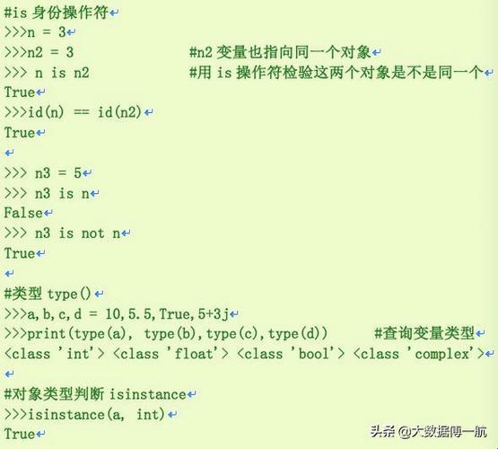 Python调戏类型，一场可爱的游戏