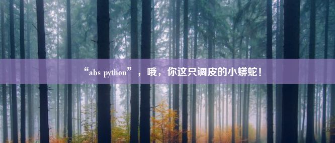 “abs python”，哦，你这只调皮的小蟒蛇！