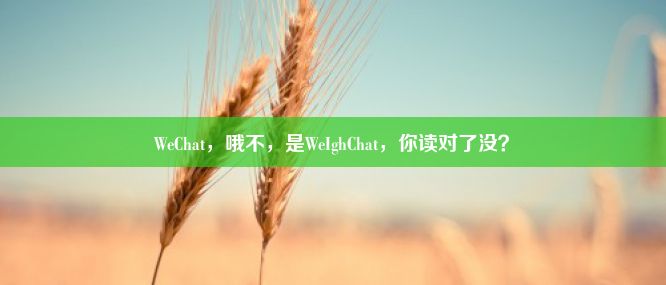 WeChat，哦不，是WeIghChat，你读对了没？