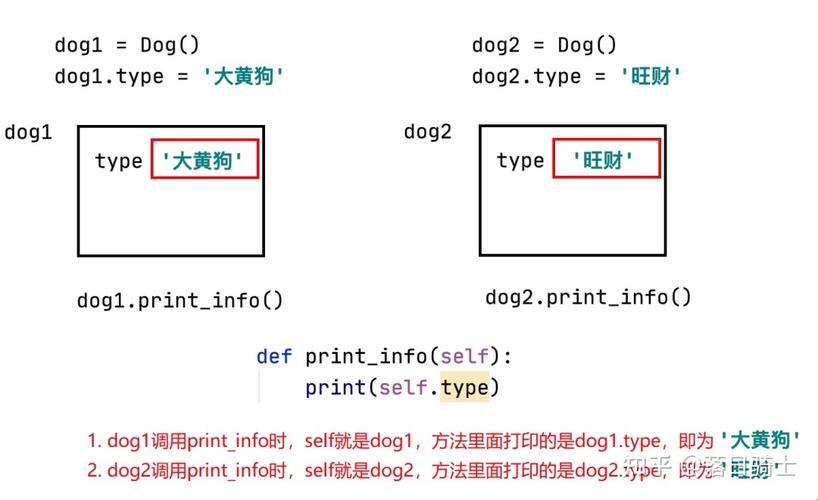 Python中的“self”：一场可爱的自我探索之旅