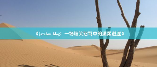 《javabus blog：一场嬉笑怒骂中的温柔邂逅》