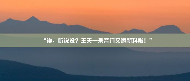 “诶，听说没？王天一录音门又添新料啦！”