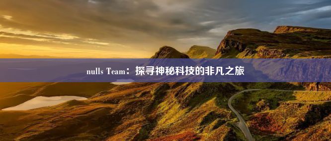 nulls Team：探寻神秘科技的非凡之旅