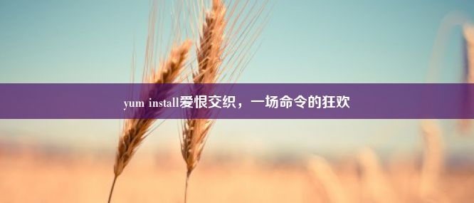 yum install爱恨交织，一场命令的狂欢