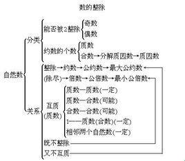 探索之旅：神秘的有理数集，科技中的璀璨星辰