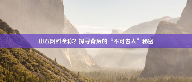 山石网科全称？探寻背后的“不可告人”秘密