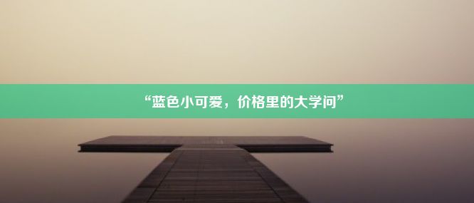 “蓝色小可爱，价格里的大学问”