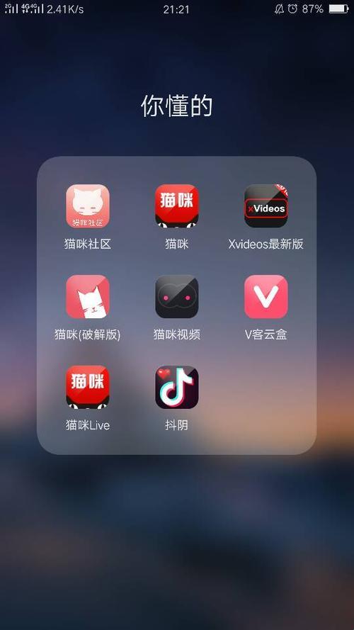 Vxidos破解软件：探秘科技领域的隐秘世界