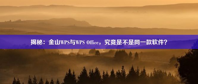 揭秘：金山WPS与WPS Office，究竟是不是同一款软件？