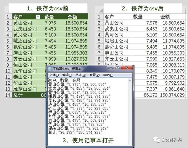 揭秘XLS：科技背后的神秘面纱