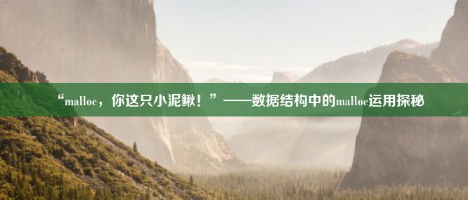 “malloc，你这只小泥鳅！”——数据结构中的malloc运用探秘