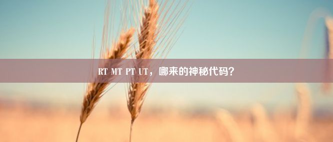 RT MT PT UT，哪来的神秘代码？