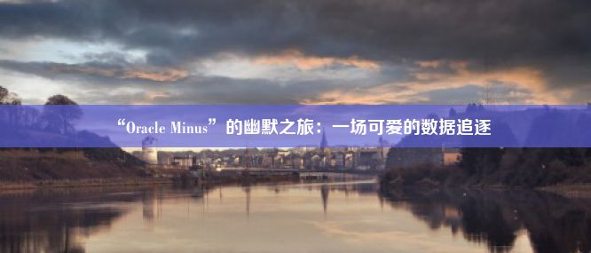 “Oracle Minus”的幽默之旅：一场可爱的数据追逐