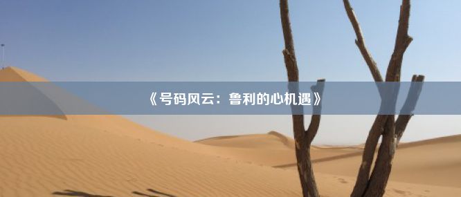 《号码风云：鲁利的心机遇》