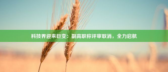 科技界迎来巨变：副高职称评审取消，全力启航