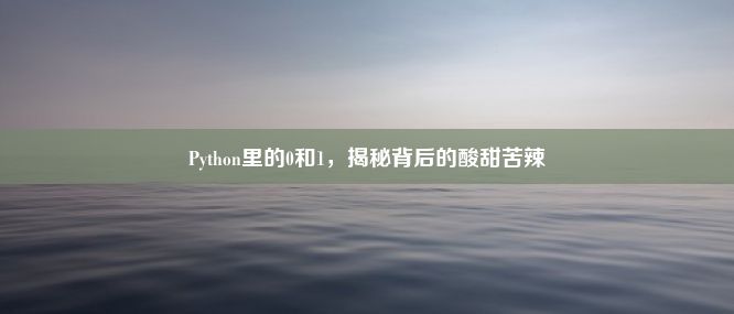 Python里的0和1，揭秘背后的酸甜苦辣