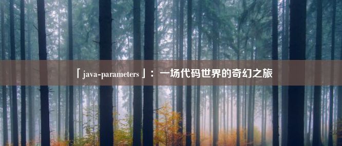 「java-parameters」：一场代码世界的奇幻之旅