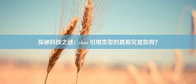 探秘科技之谜：char 引用类型的真相究竟如何？