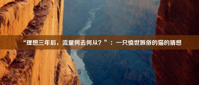 “理想三年后，流量何去何从？”：一只愤世嫉俗的猫的猜想