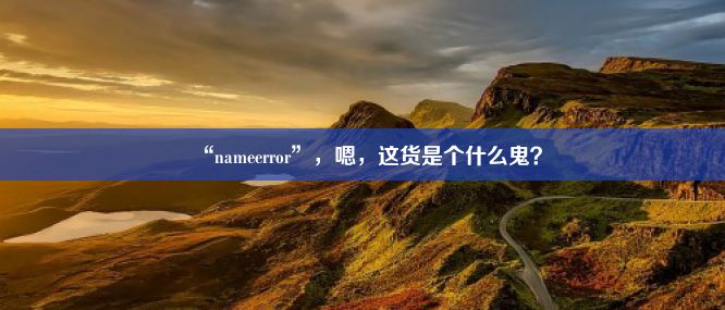 “nameerror”，嗯，这货是个什么鬼？