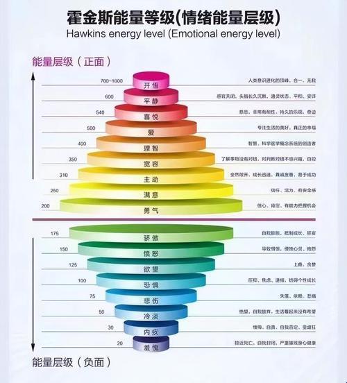 霍金斯能量层级伪科学：一桶笑料，半瓶醋酸