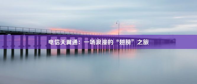 电信天翼通：一场浪漫的“翅膀”之旅