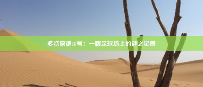 多特蒙德18号：一颗足球场上的谜之星辰