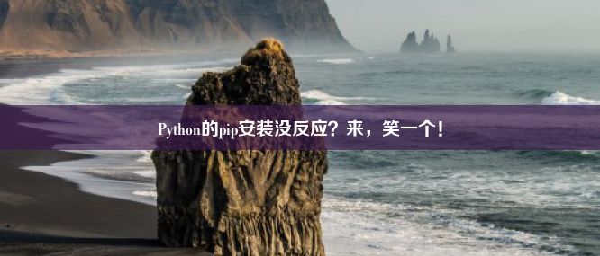 Python的pip安装没反应？来，笑一个！