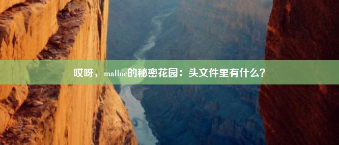 哎呀，malloc的秘密花园：头文件里有什么？