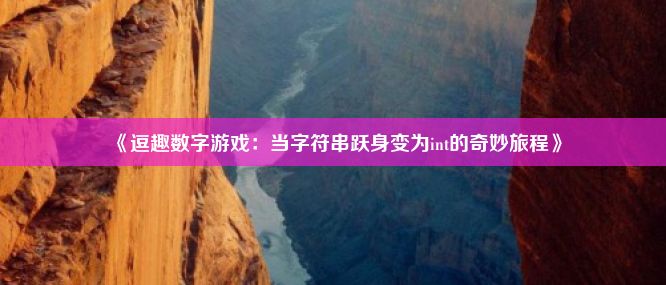 《逗趣数字游戏：当字符串跃身变为int的奇妙旅程》